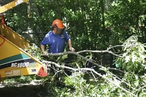 tree services Kindred